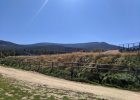 WESTERNCITI 21.08.2020