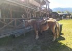 WESTERNCITI 21.08.2020