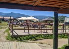 WESTERNCITI 21.08.2020