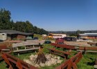 WESTERNCITI 21.08.2020