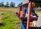 WESTERNCITI 21.08.2020