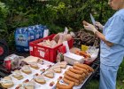 OGNISKO 07.06.2019