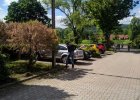 WIOSENNE PORZĄDKI 30.05.2019