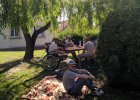 Grill 06.06.2019
